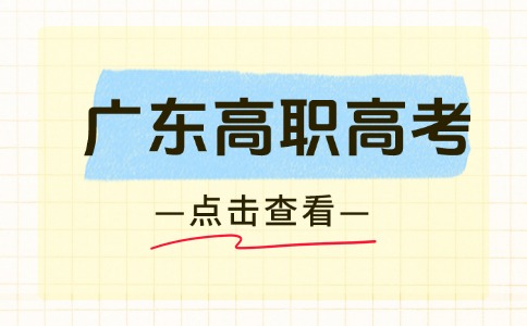 什么是广东高职高考(3+证书)？