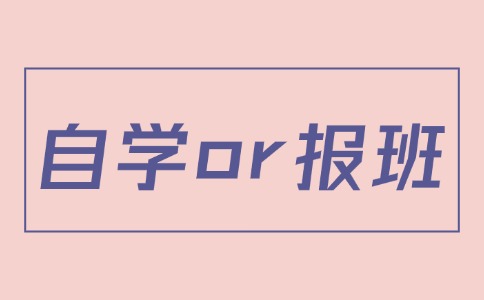 广东3+证书考试自学or报班