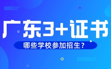 参加广东3+证书考试的学校有哪些?