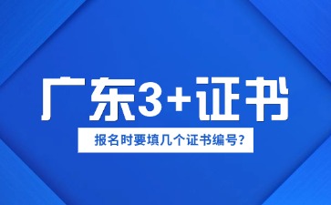 报考广东3+证书时要填几个证书编号？