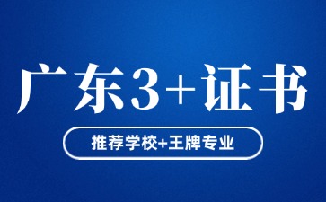 广东3+证书考试什么学校、专业比较好?