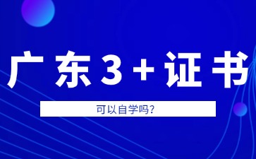 广东3+证书可以自学吗?