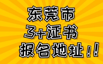 东莞市3+证书高考报名地址