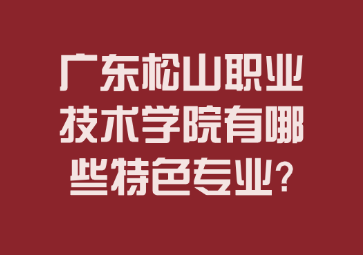 广东松山职业技术学院有哪些特色专业?