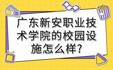 广东新安职业技术学院的校园设施怎么样?