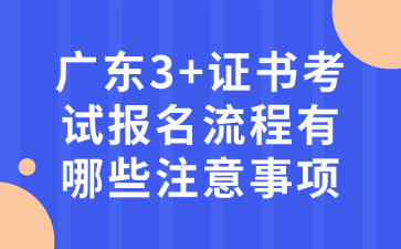 广东3+证书考试报名流程有哪些注意事项