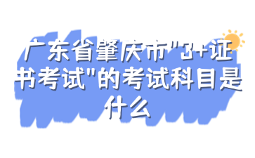 广东省肇庆市"3+证书考试"的考试科目是什么