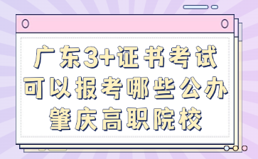 广东3+证书考试可以报考哪些公办肇庆高职院校