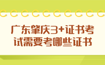 广东肇庆3+证书考试需要考哪些证书