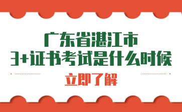 广东省湛江市3+证书考试是什么时候