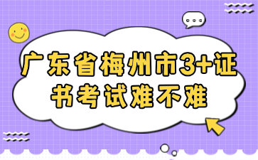 广东省梅州市3+证书考试难不难