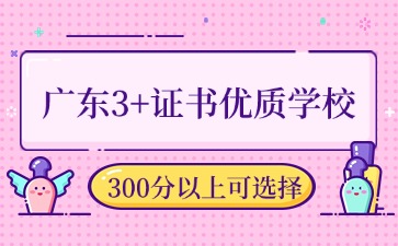 2025年广东3+证书300分以上可选的优质院校