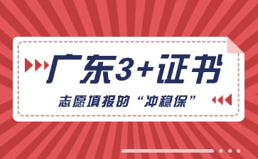 广东3+证书填志愿的“冲稳保”