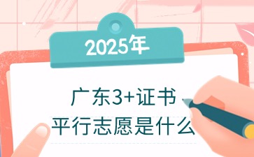 2025年广东3+证书