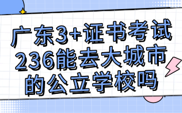 广东3+证书考试236能去大城市的公立学校吗