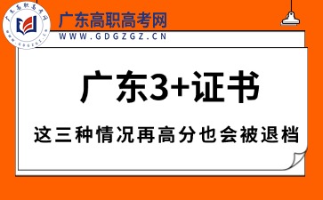 广东3+证书这三种情况再高分也会被退档