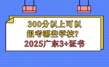 2025年广东3+证书300分以上可以报考哪些学校?