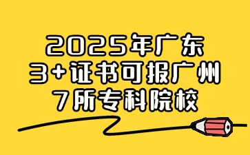 2025年广东3+证书