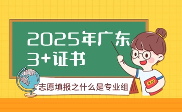 2025年广东3+证书志愿填报