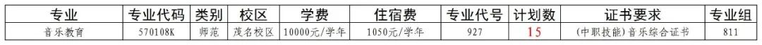 广东茂名幼儿师范专科学校2025年3+证书811组