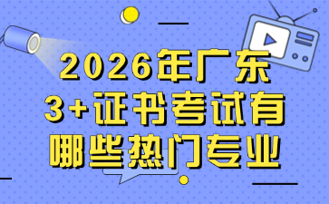 2026年广东3+证书考试有哪些热门专业